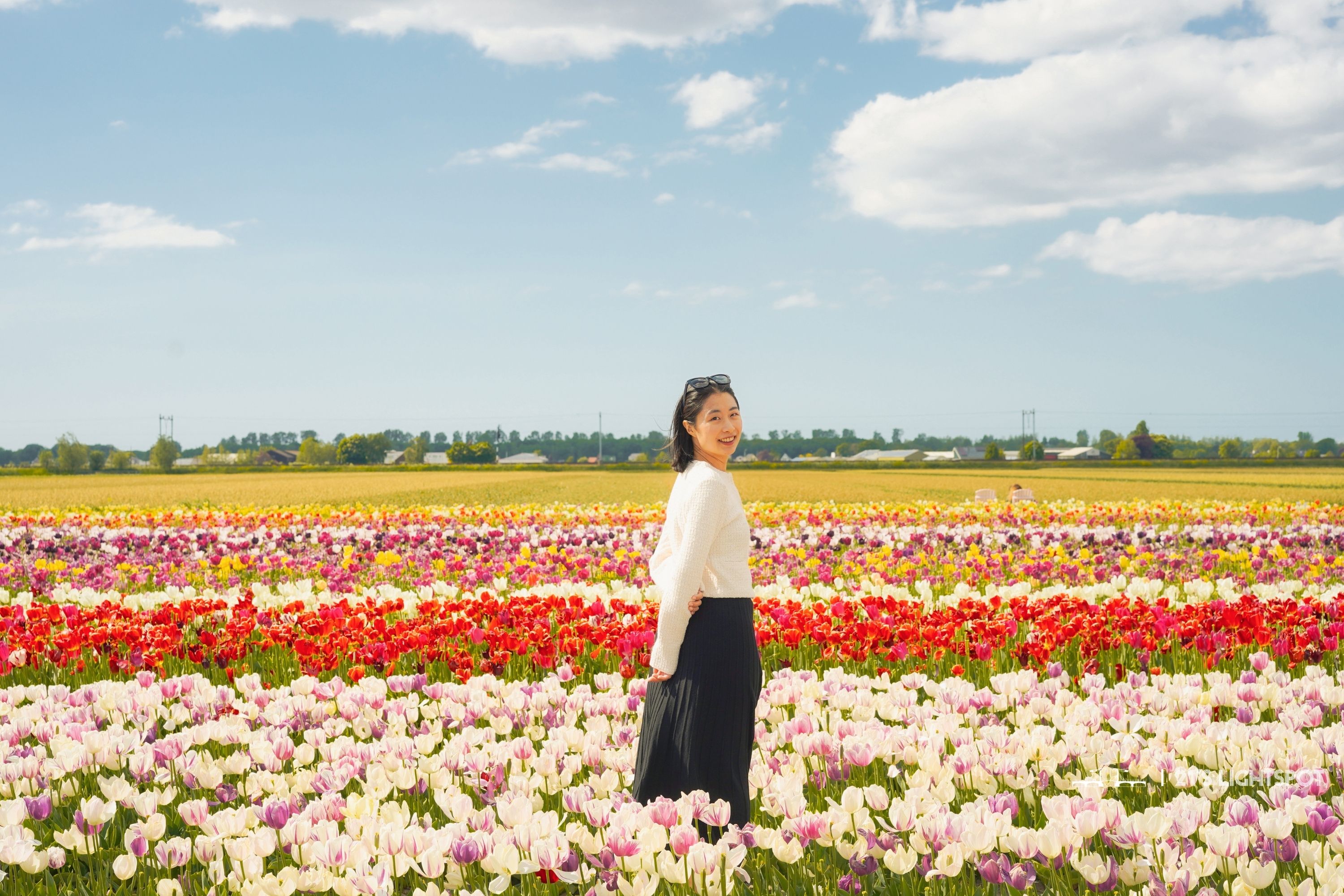 鬱金香花田地點🌷（2026年預訂）
在利瑟附近的兩個美麗景點中選擇：庫肯霍夫或 Tulip Barn。
請注意：客戶和攝影師的門票必須分開購買。