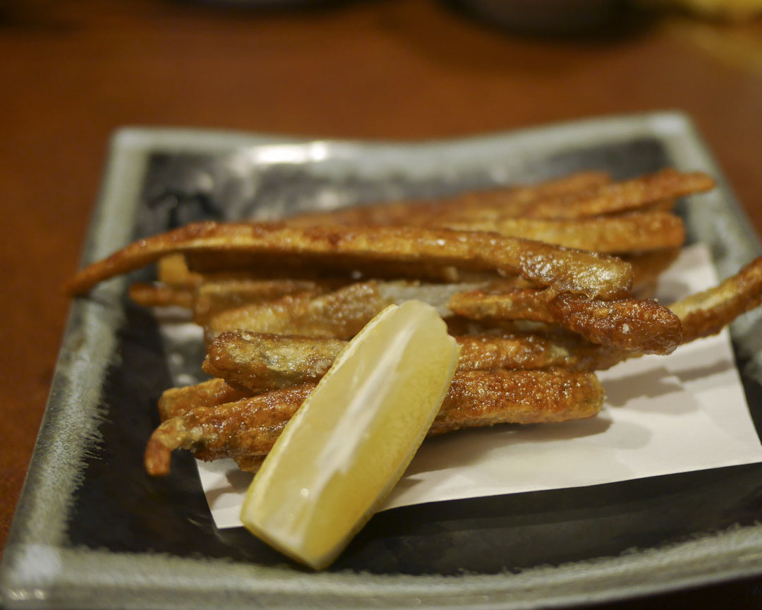 京都先斗町美食之旅（3小時）
