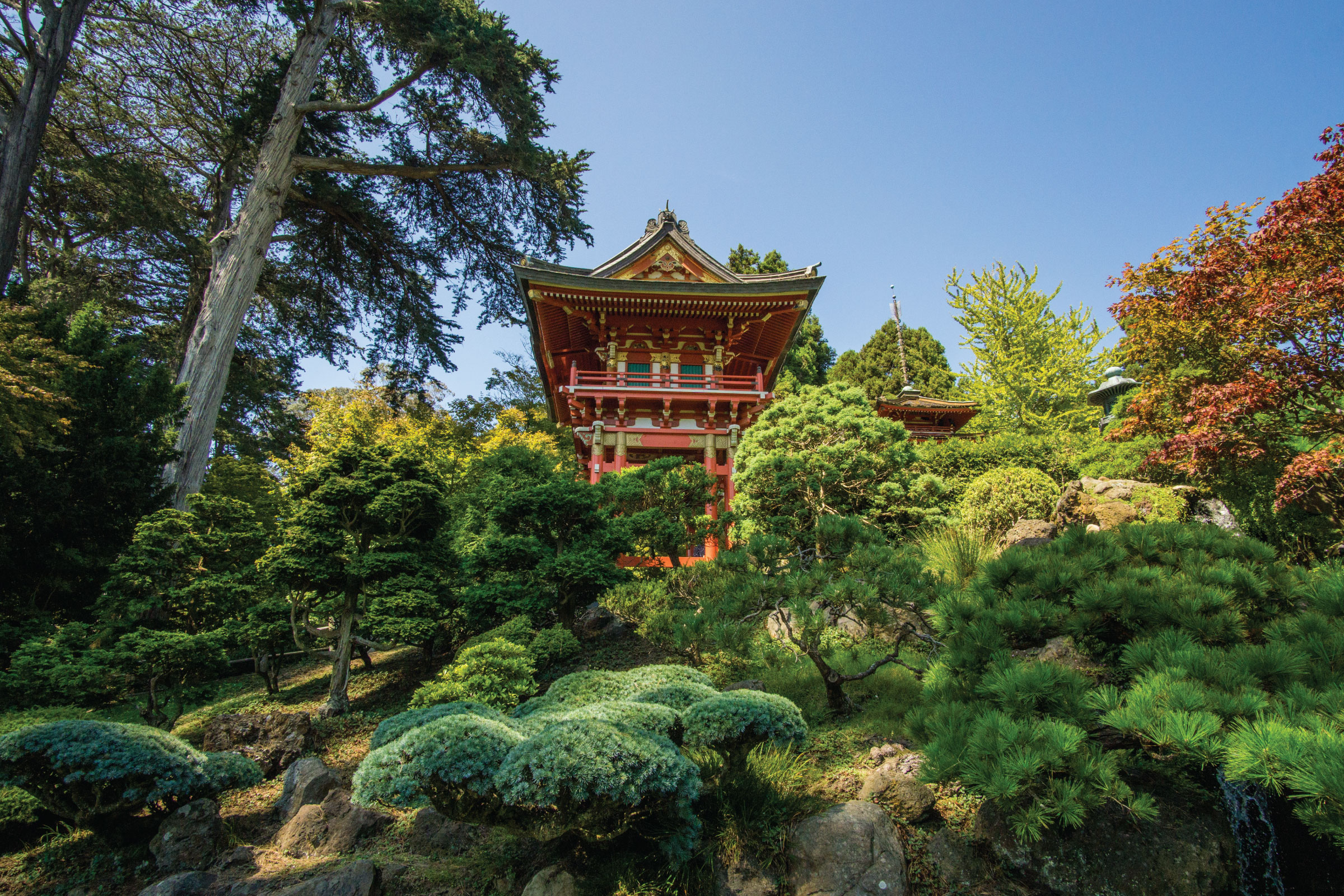 全天無限次搭乘指定站點，暢遊無阻