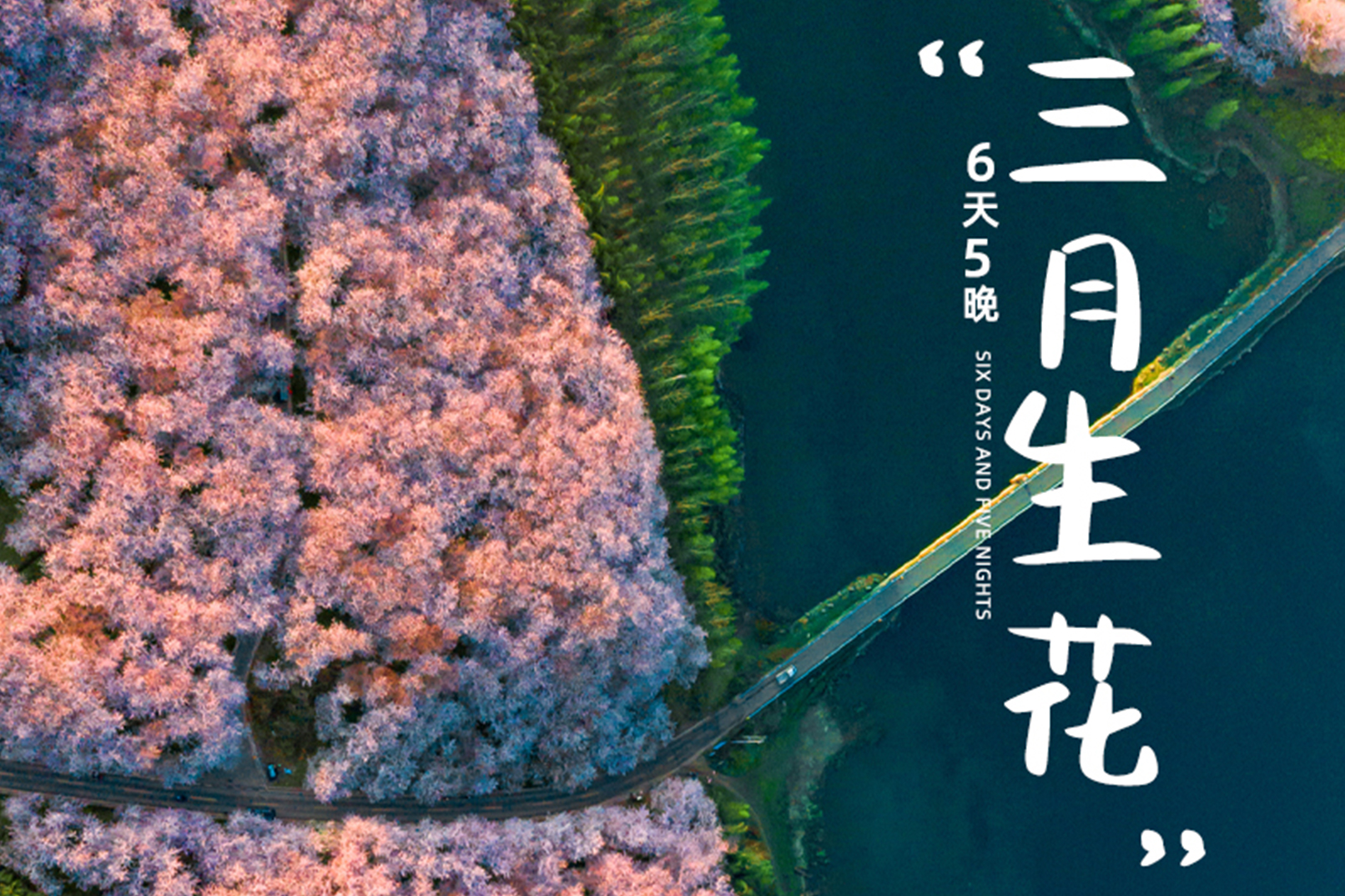 【櫻花限定】貴州平壩櫻花6天5晚（黃果樹大瀑布+平壩櫻花園&攝影跟拍+荔波小七孔+西江千戶苗寨&苗族蠟染手作）