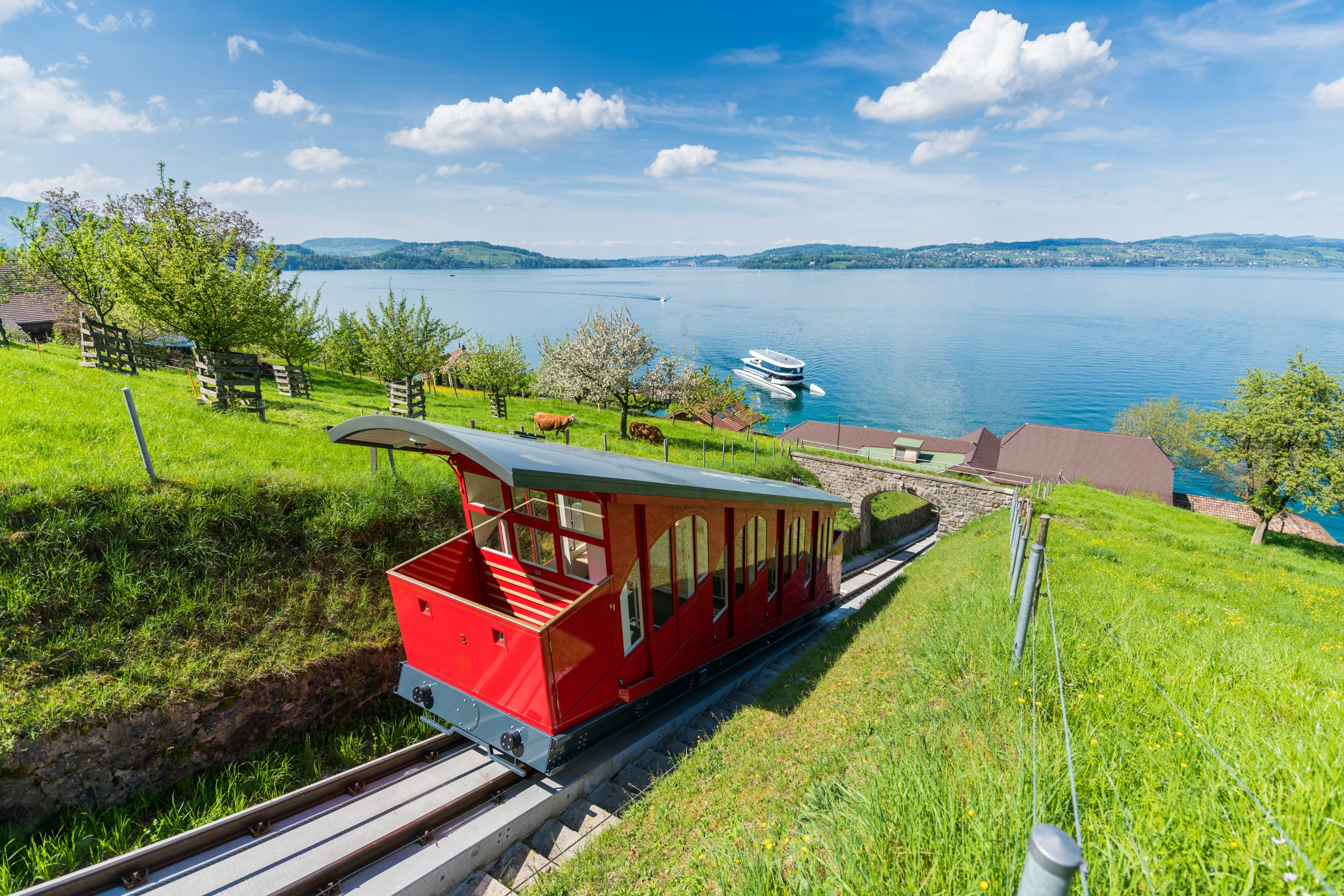 Burgenstock Experience with Cruise and Funicular from Lucerne