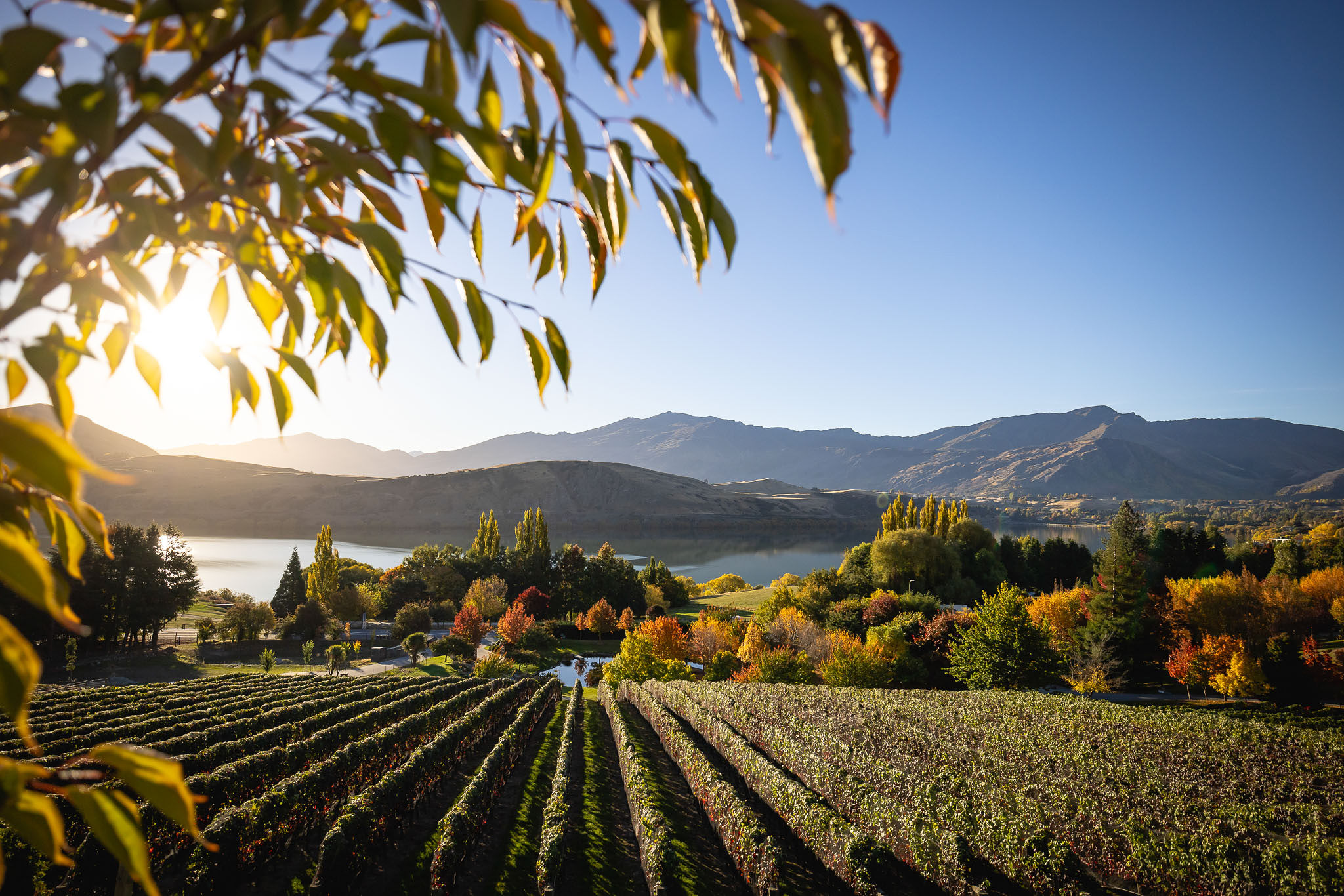 Arrowtown, Ayrburn, and Winery Half-Day Tour in Queenstown