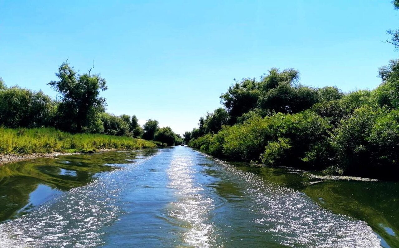 Danube Delta Day Tour – Birdwatching and Scenic Boat Cruise