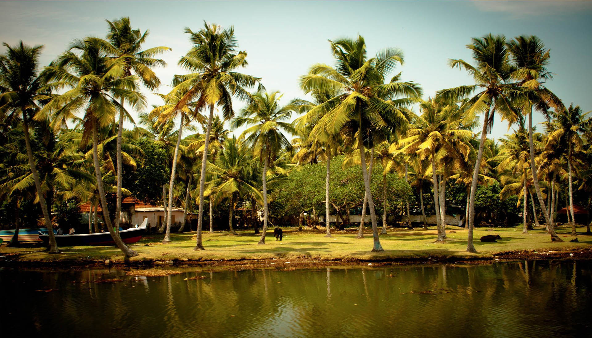 The intricate network of lakes, rivers, and canals known as the backwaters.