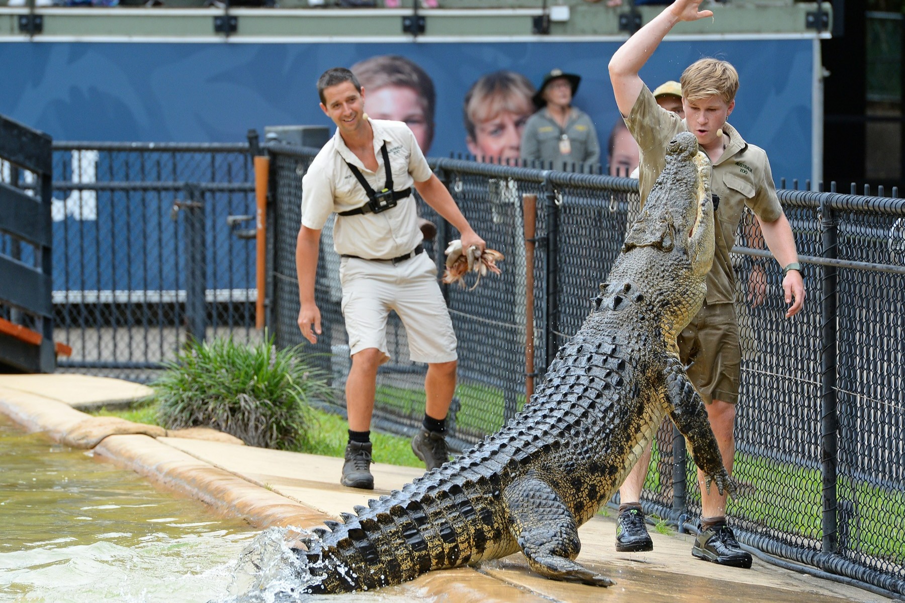 Australia Zoo Transfer and Entry Adventure