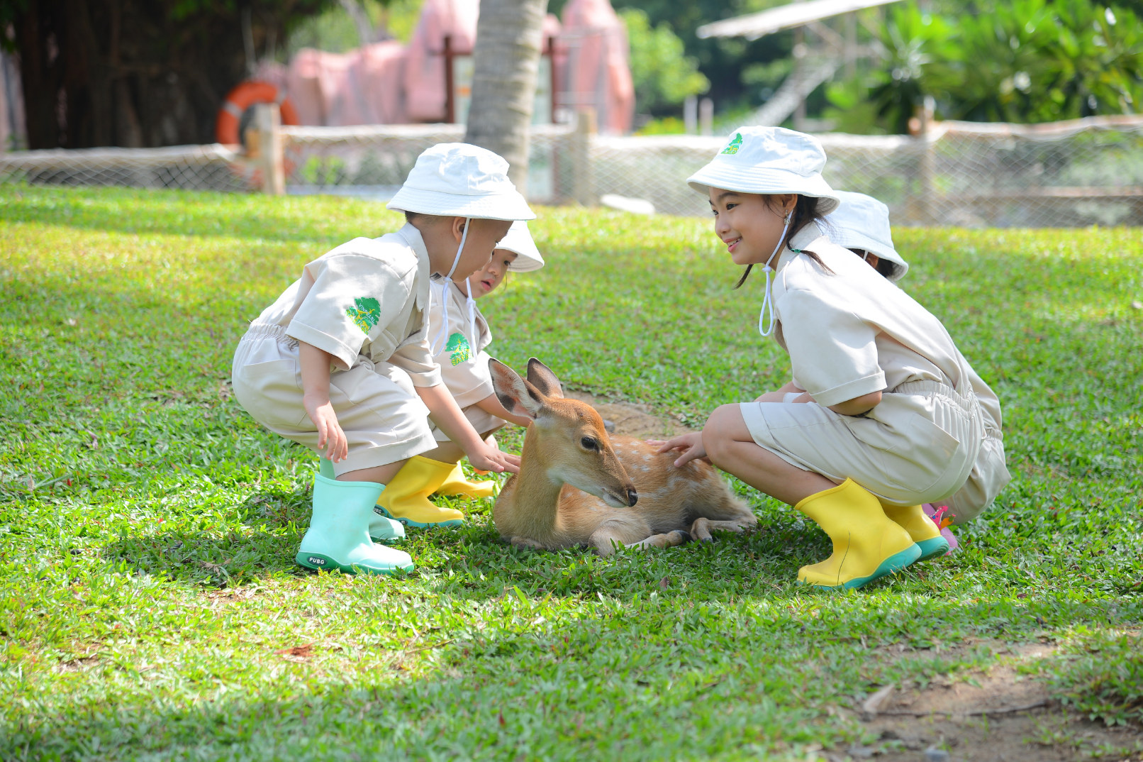Junior Zoo Keeper Experience for Kids