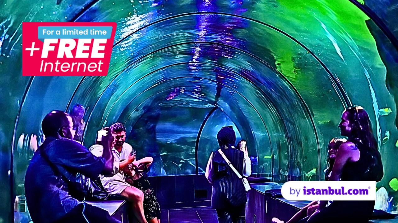 ViaSea水族館門票