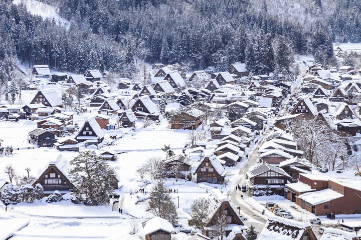 2D1N Shirakawa-go Special Light up Event & Takayama Tour from Tokyo