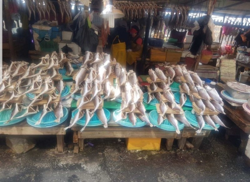 Jagalchi fish market