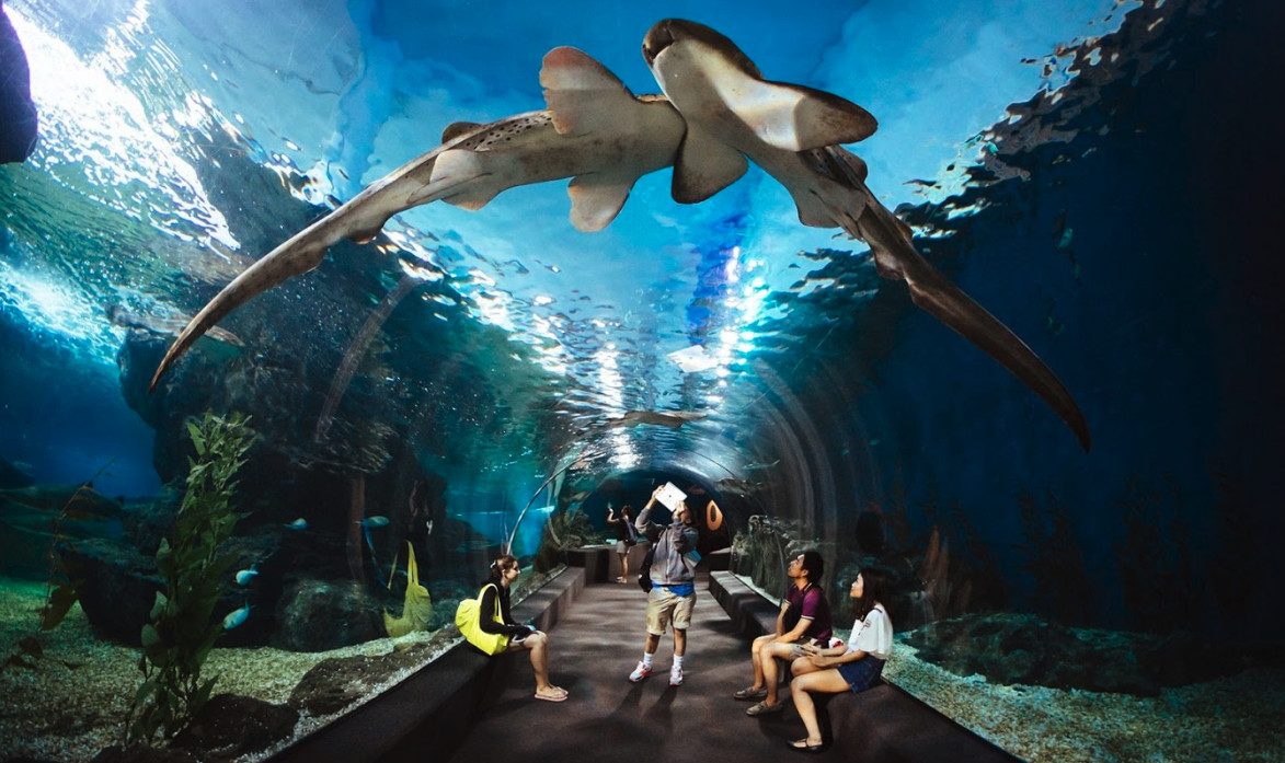 【CNGDS】Tailand, Bangkokdagi Siam Ocean World chiptasi