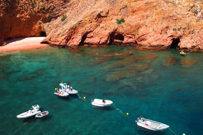 Berlenga Grande Island Day Tour from Lisbon 