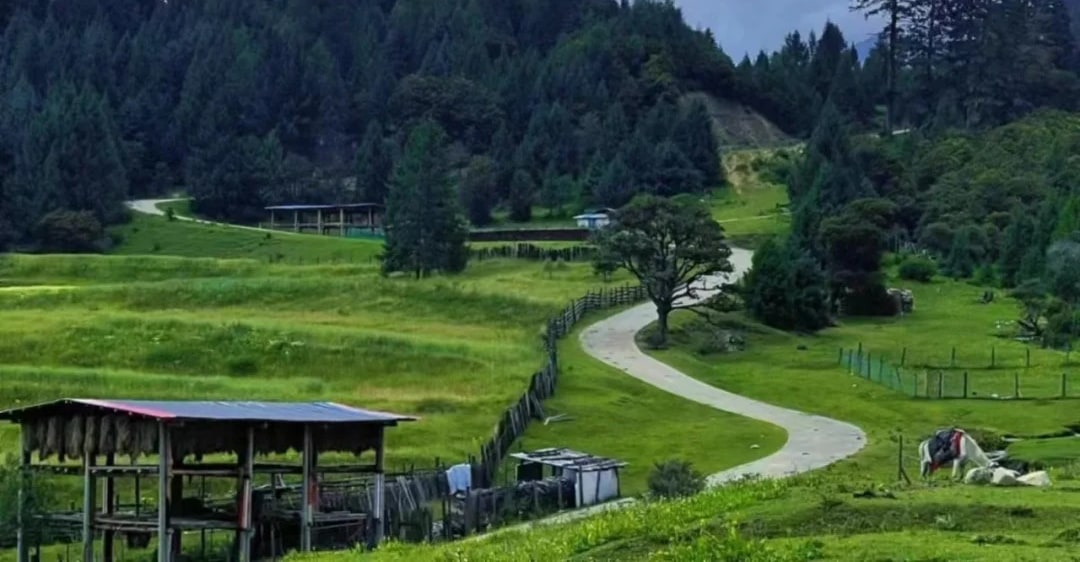Lulang means "Dragon King Valley" or "the place where immortals live". The clouds in the mountains gather and disperse from time to time. The snow-capped mountains, forests and farmlands outline a tranquil and beautiful mountain life picture, which is the