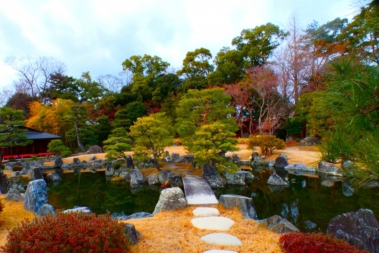 二條城的庭園隨季節而變,秋季時則沐浴在溫暖的秋色之中 二條城的庭園隨季節而變,秋季時則沐浴在溫暖的秋色之中