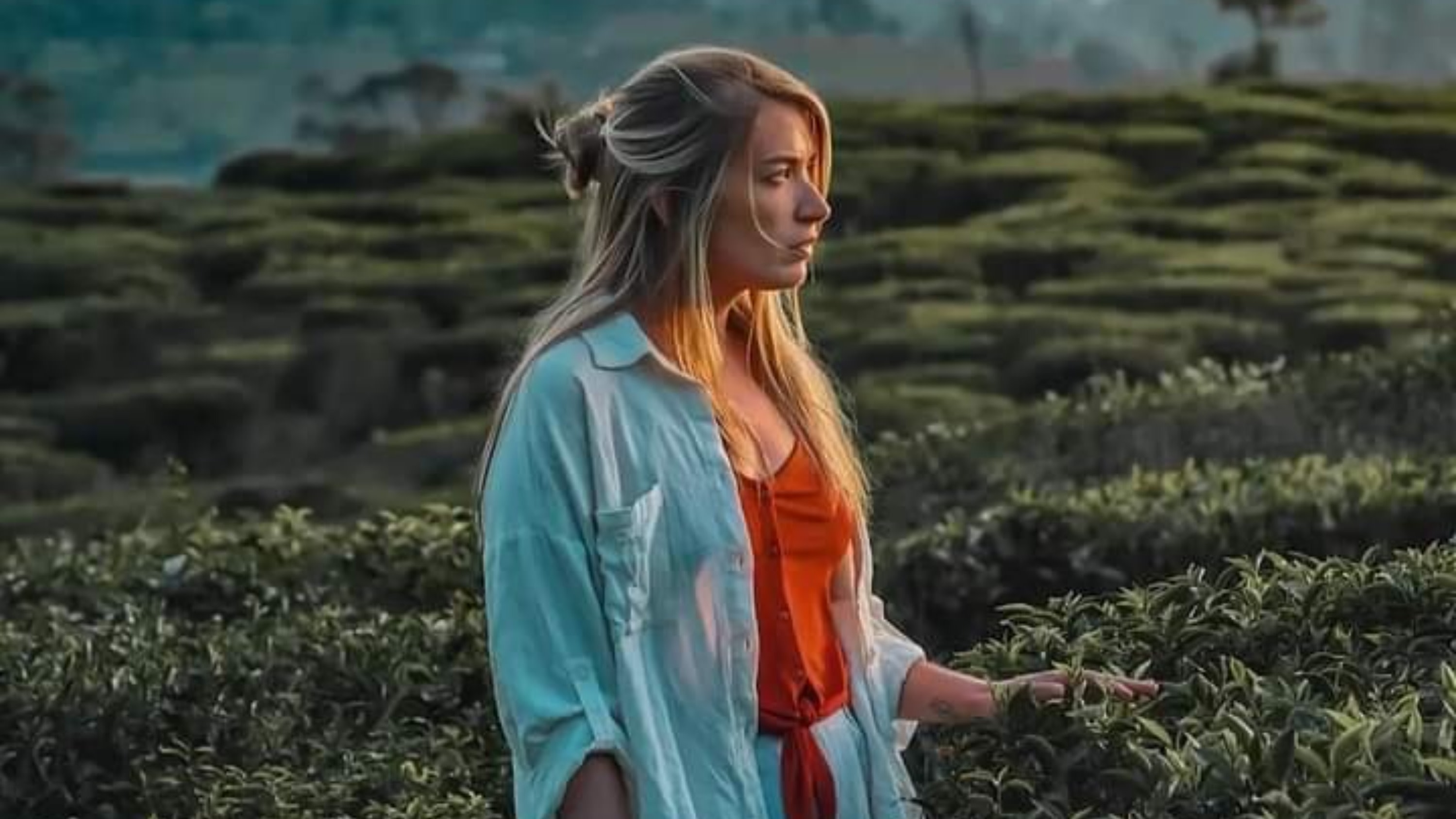 Colombo Sri Lanka Full-Day Private Sightseeing Tour