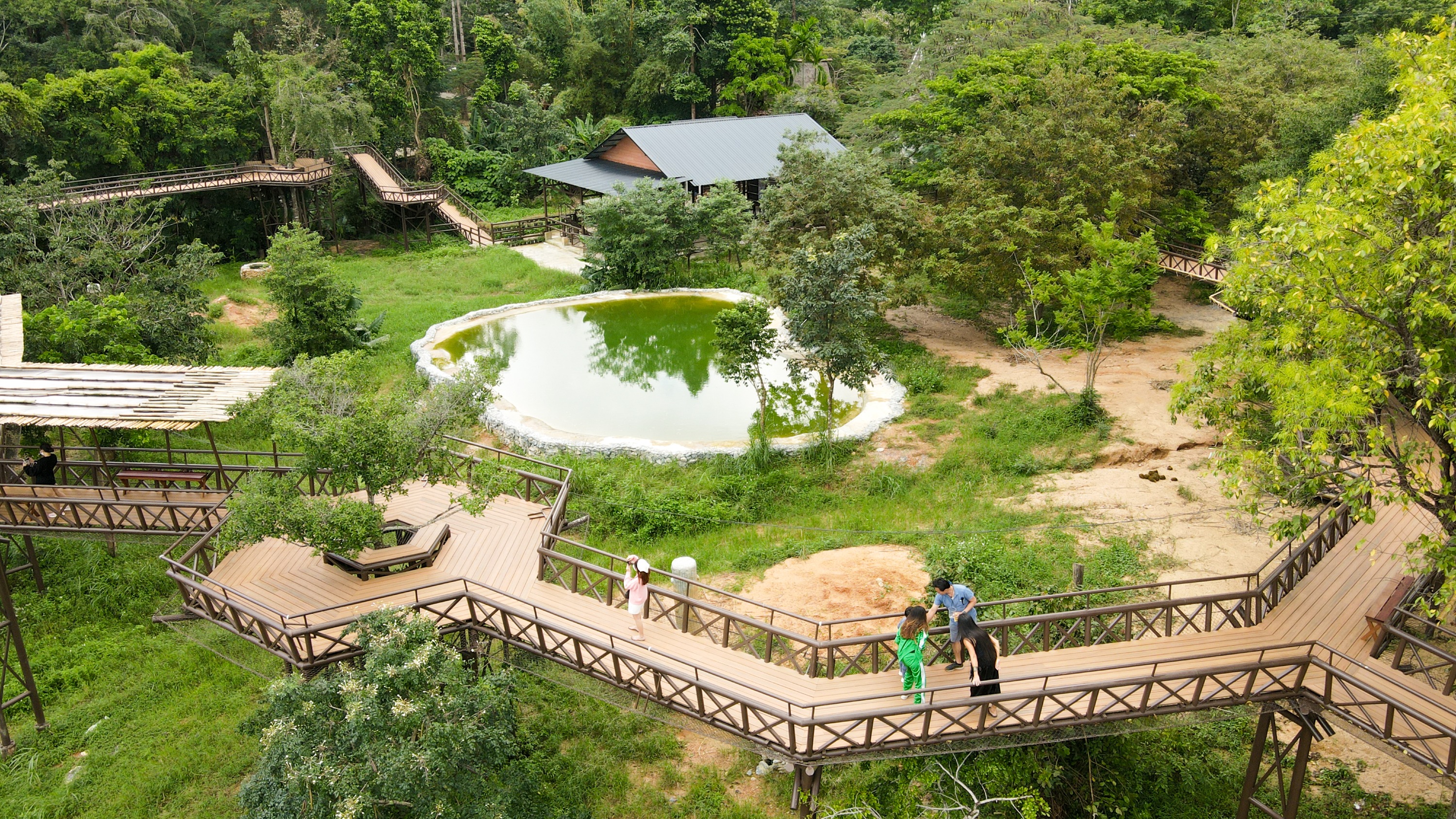 蘇梅島大象王國（Elephant Kingdom）體驗