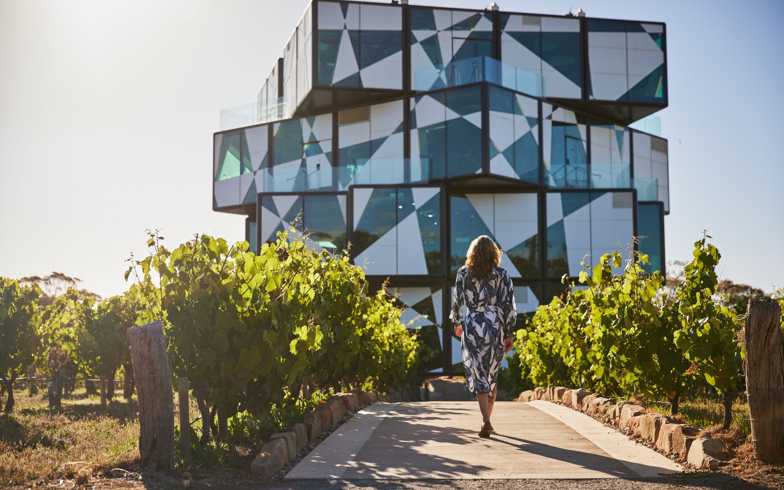 Premium McLaren Vale All-Inclusive Wine & Brew Adventure