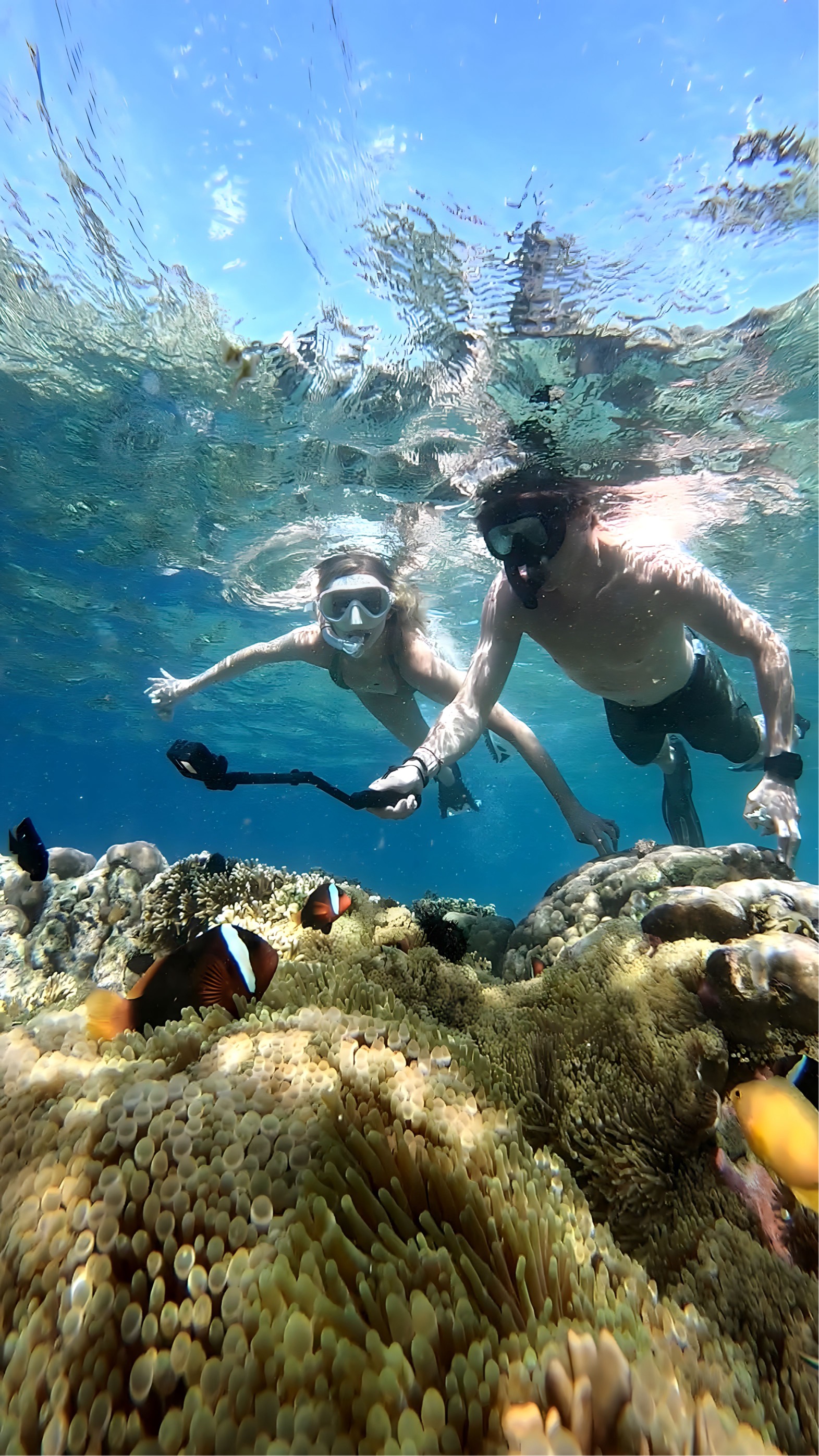 Gili Layar and Gili Rengit Snorkeling Tour in Lombok