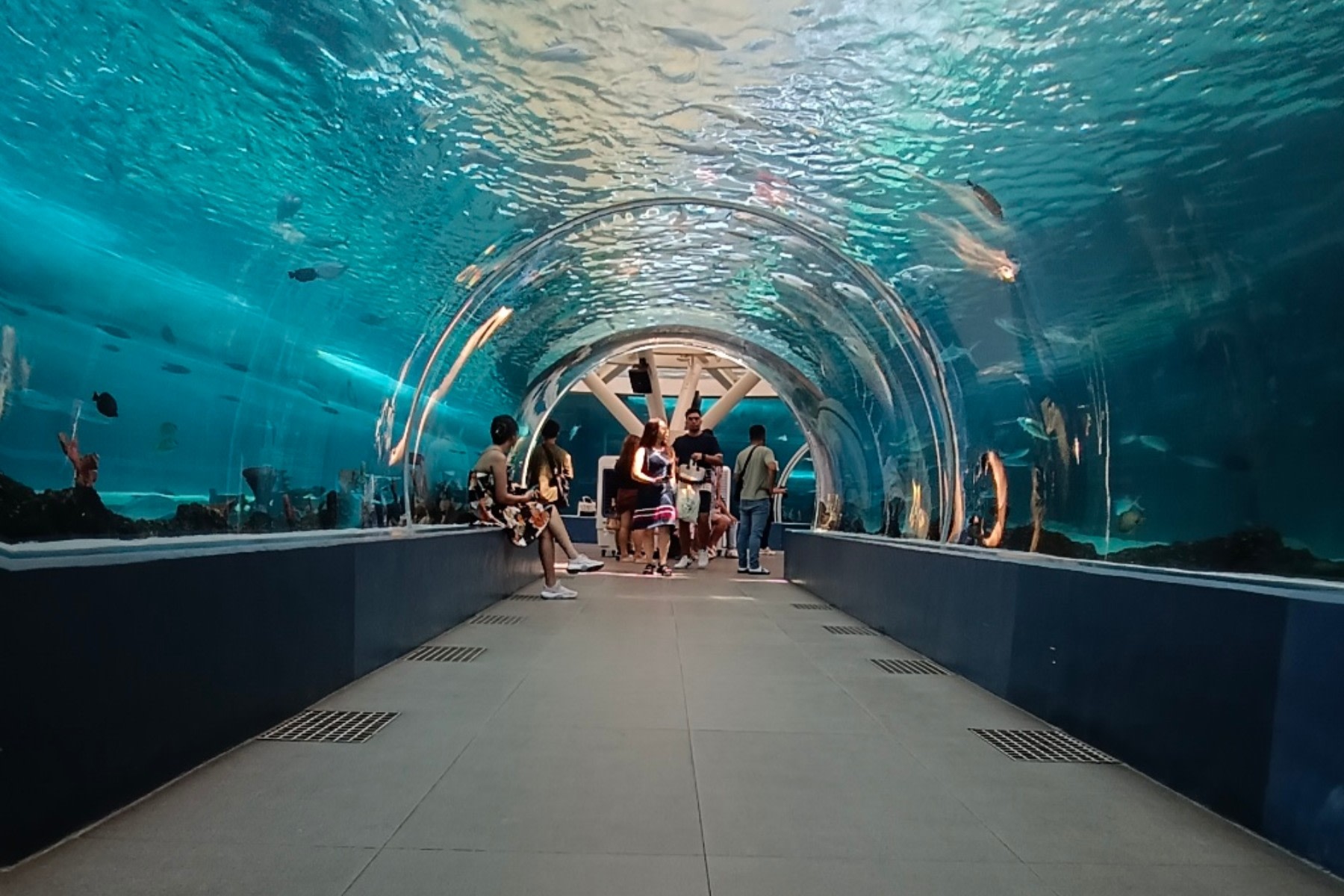 Anjo World Theme Park and Cebu Ocean Park Day Tour