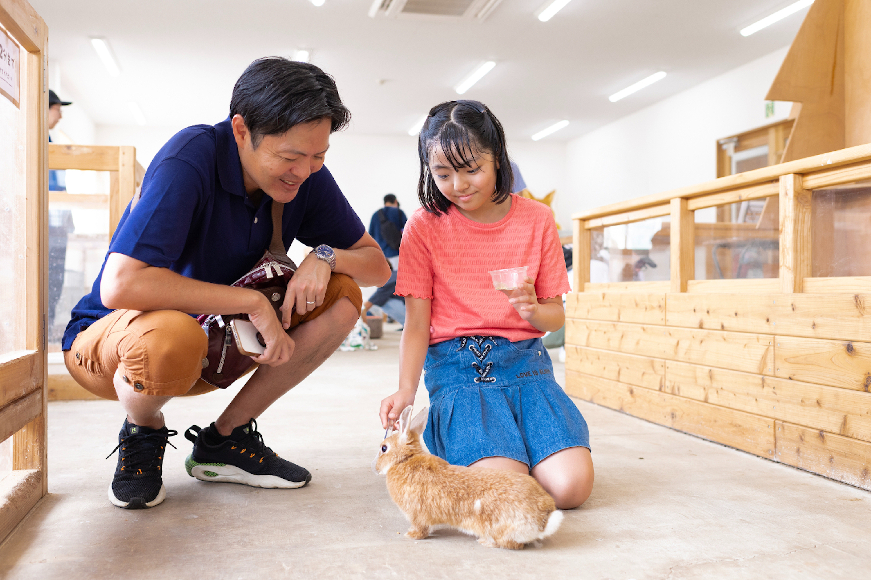 日本成田夢牧場門票