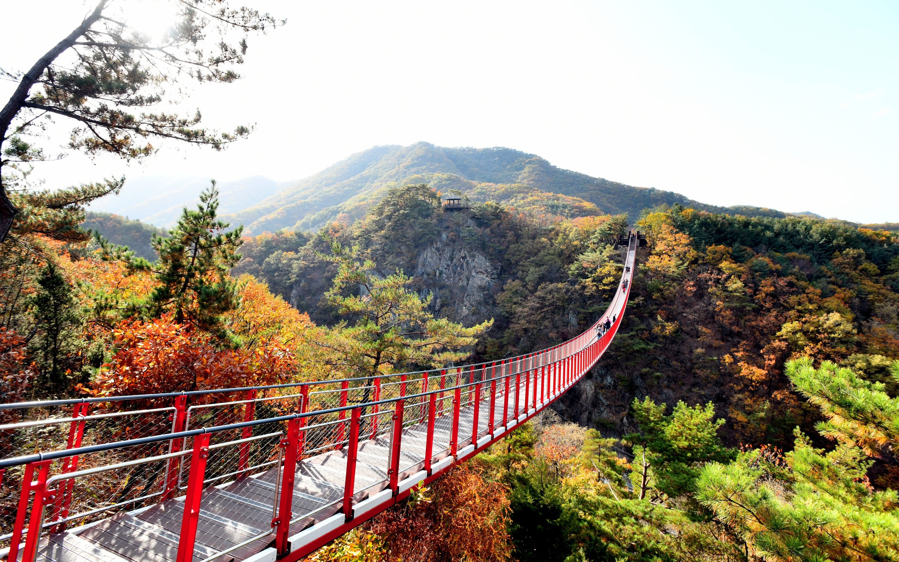 DMZ Tour: Red Suspension Bridge & Observatory from Seoul
