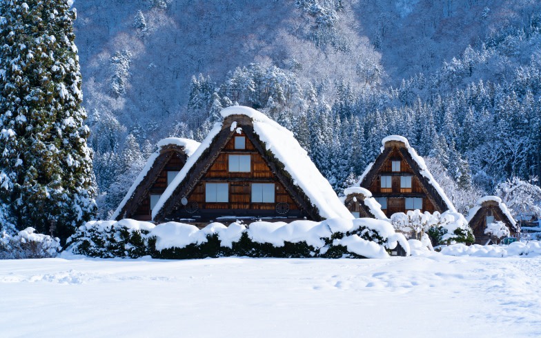 Takayama & Shirakawa-go Day Tour with Hida Beef Lunch