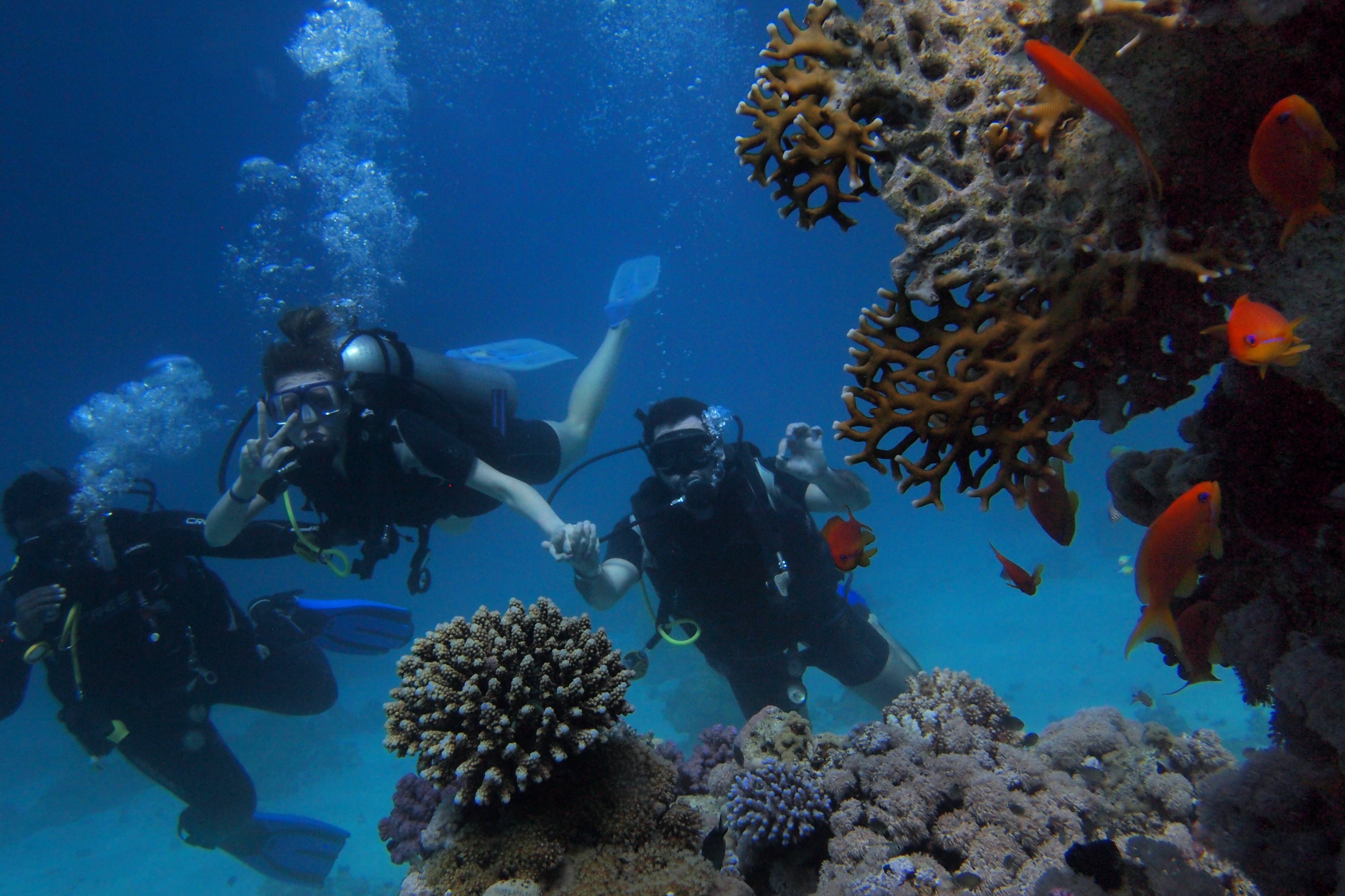 Hurghada Paradise Island Cruise with Snorkeling Adventure and Lunch