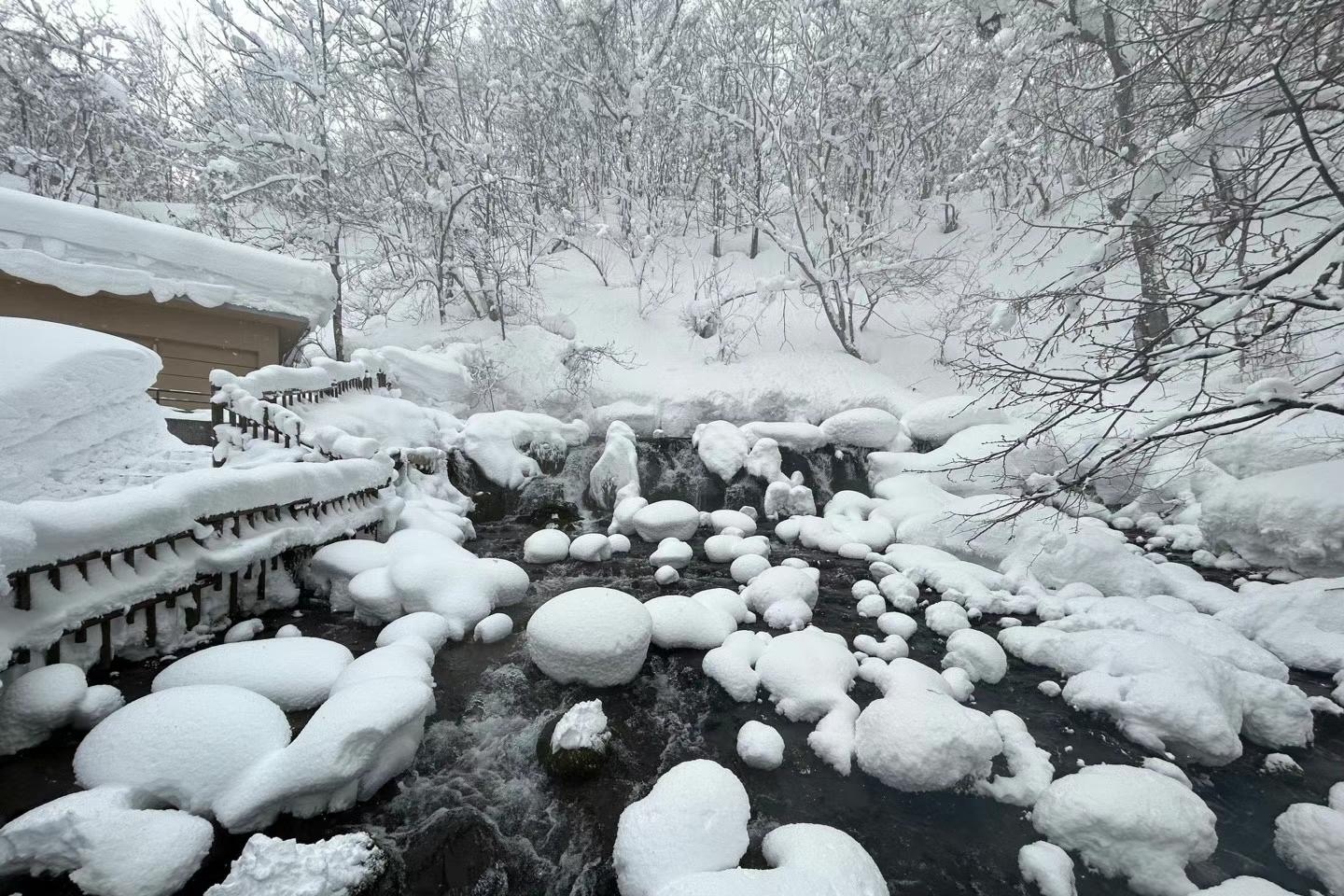 北海道 貸切チャーター日帰りツアー（札幌発）