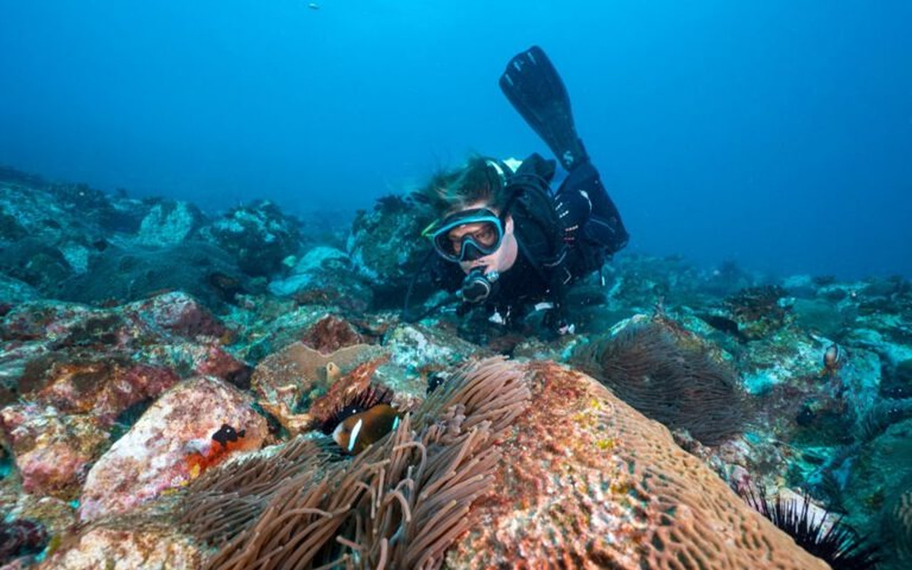 PADI Enriched Air Diver Course in Coffs Harbour