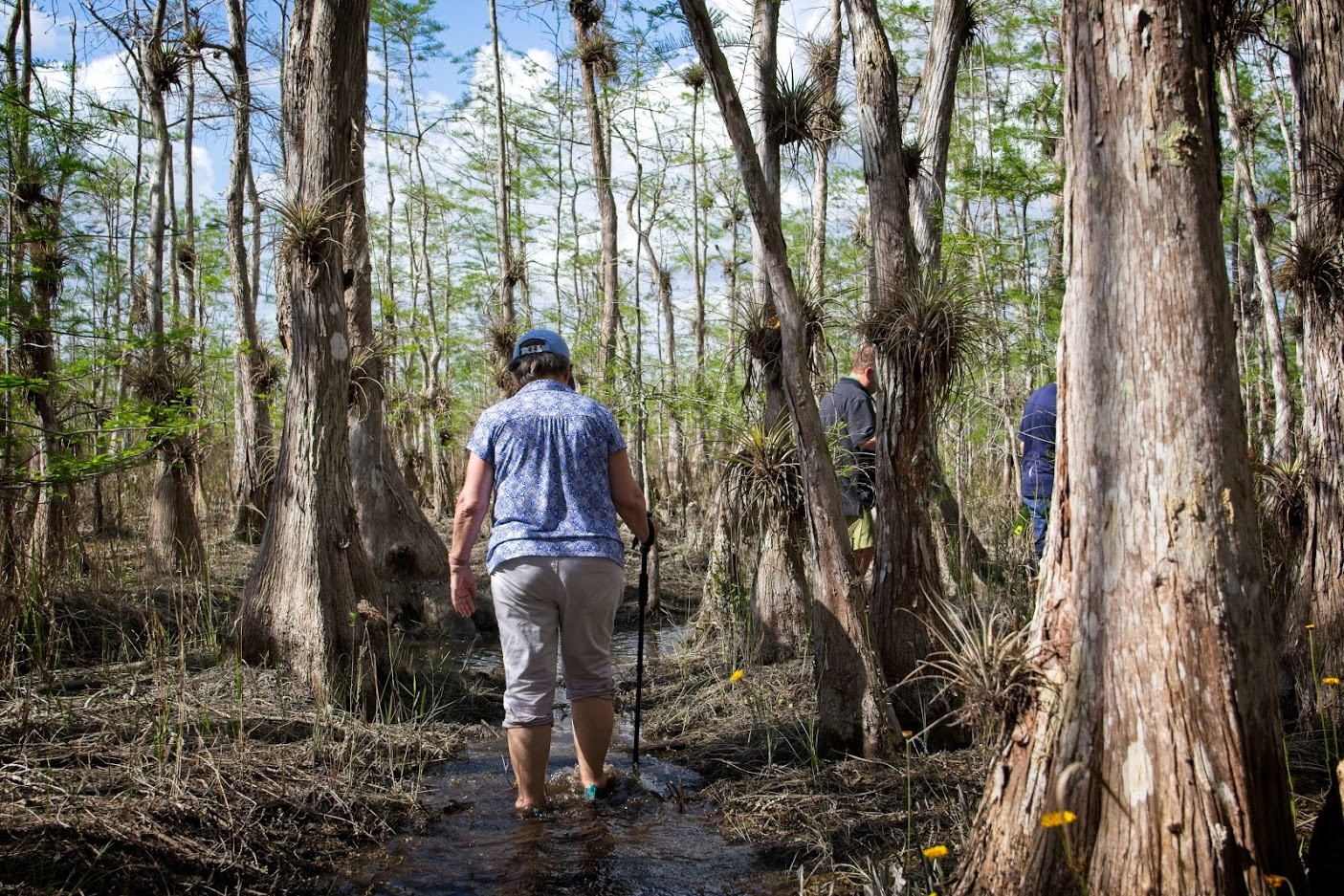 Full Day Everglades Adventure with a Wet Walk in Florida