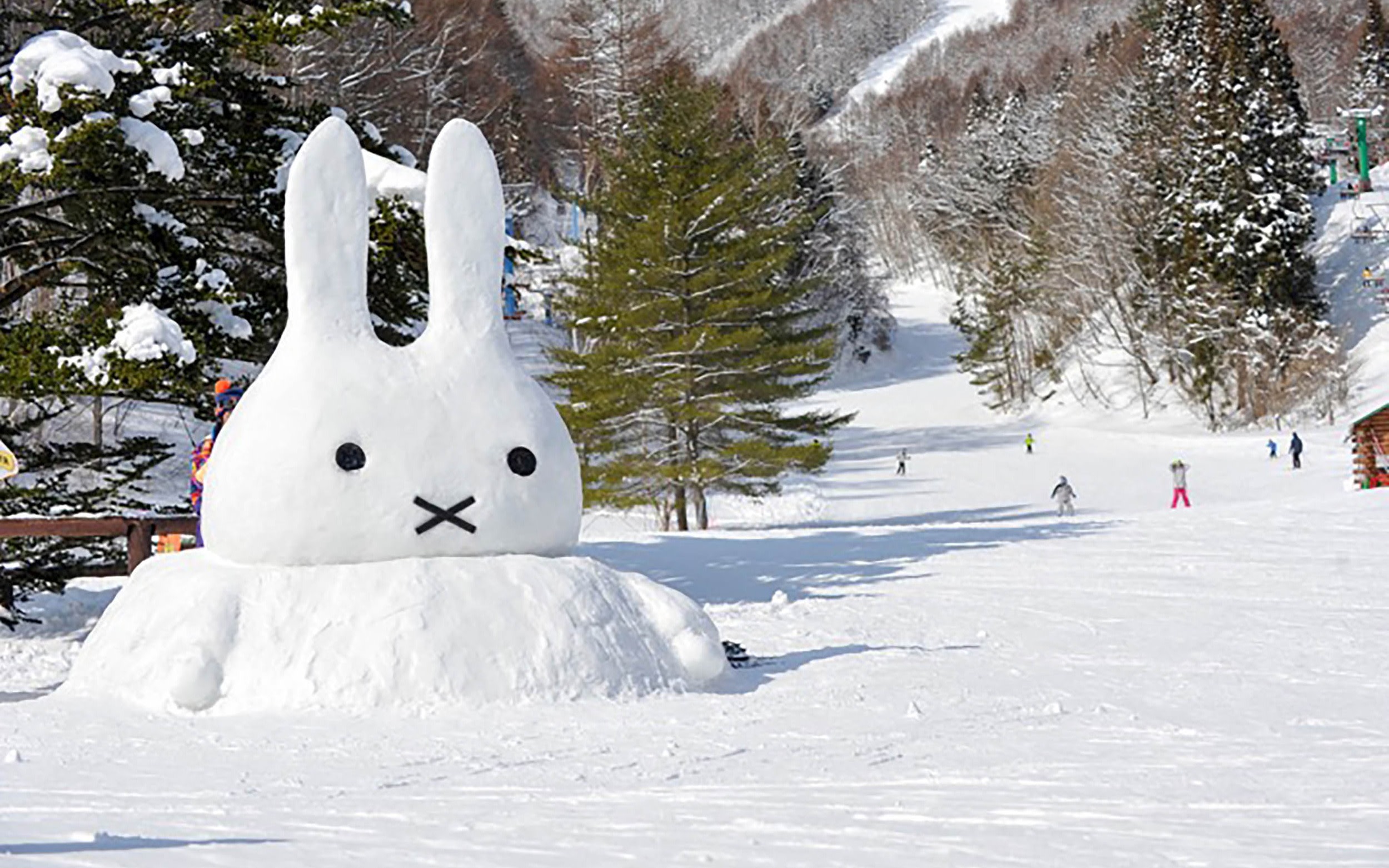 Gunma Katashina Plateau Snow Fun & Natural Hot Spring/Strawberry Picking Special Day Trip (Departure from Tokyo)