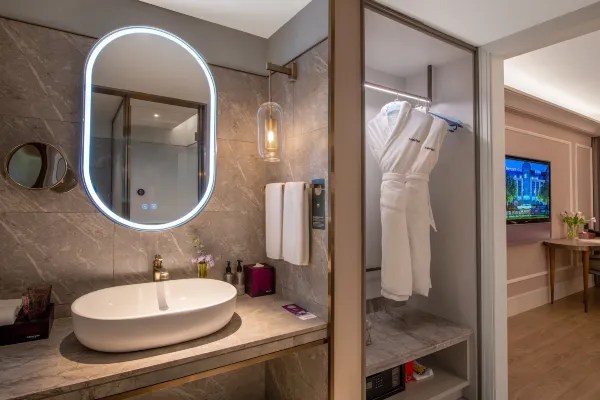 Hotel Guest Room Bathing Area Environment Display Image