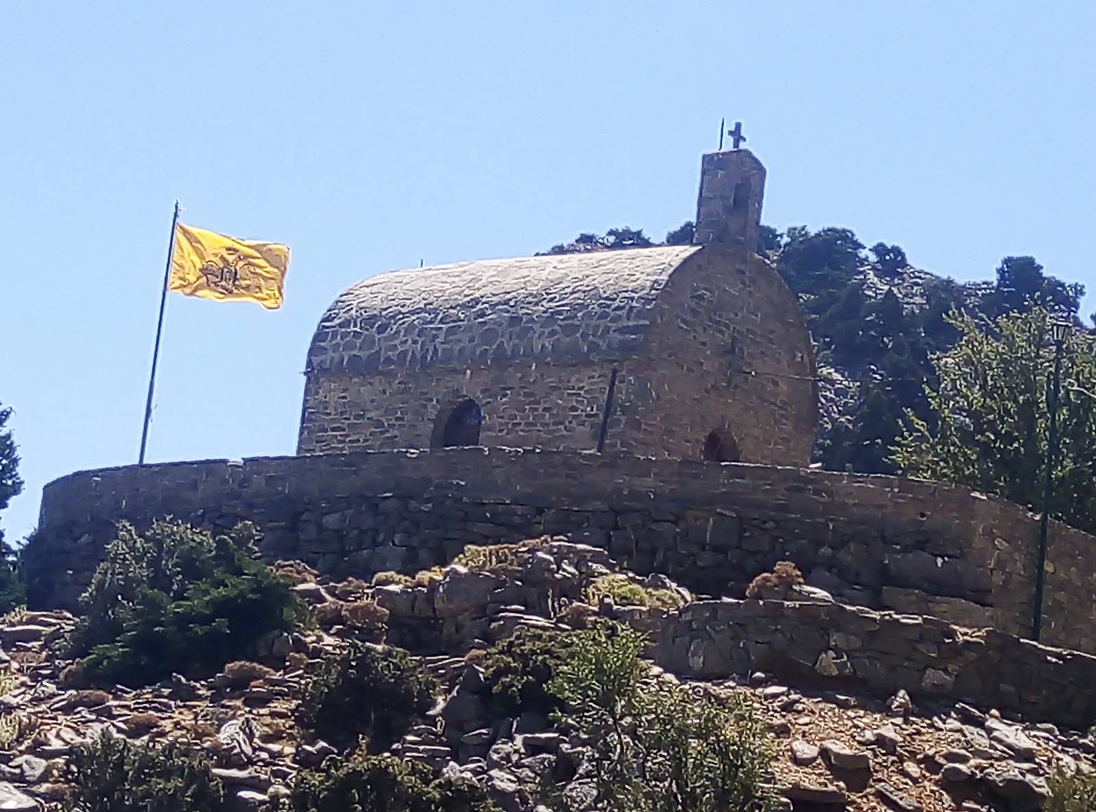 Image 5