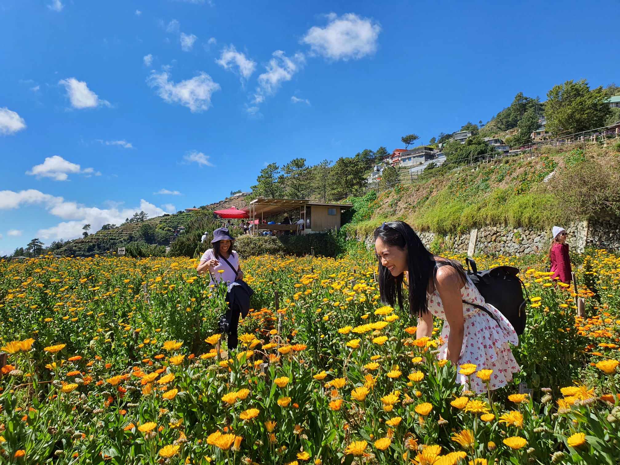 Atok Gardens Day Tour