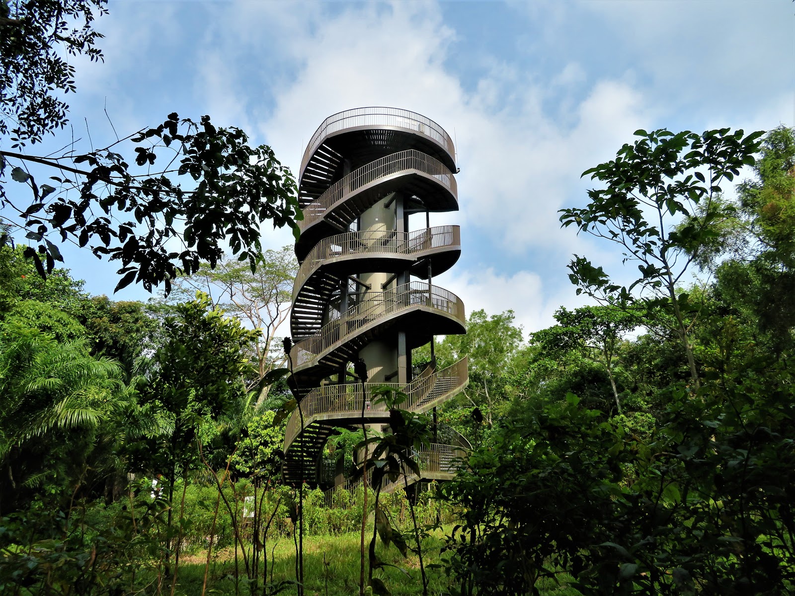 Hidden Hiking Trails in Singapore
