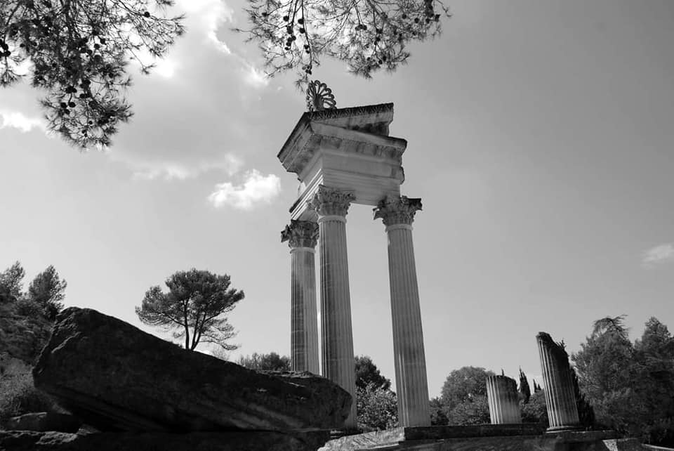 Tour Arles, Les Baux de Provence & St Remy de Provence with a local 