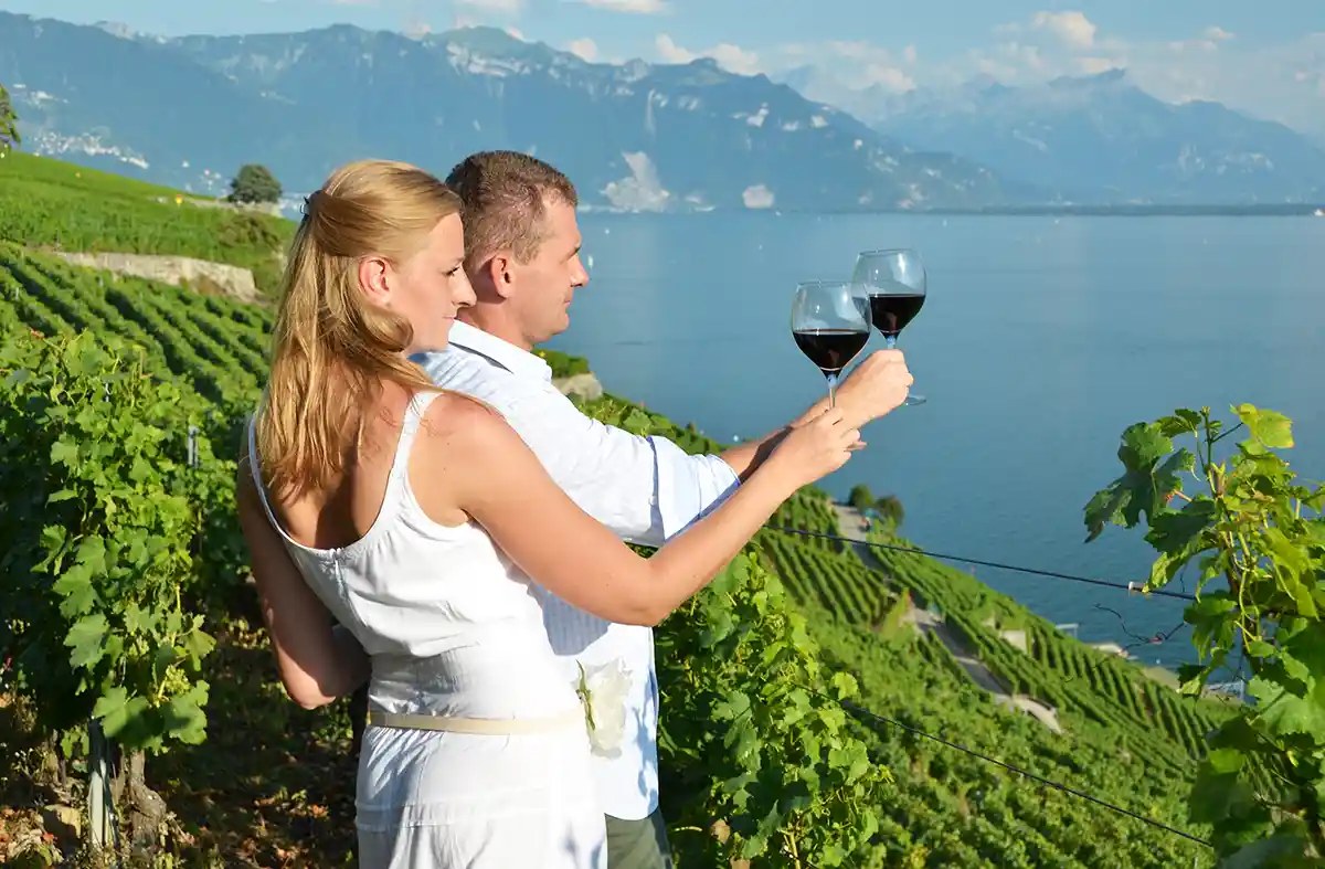 Swiss Wine Tasting in Lavaux Vineyards from Zurich