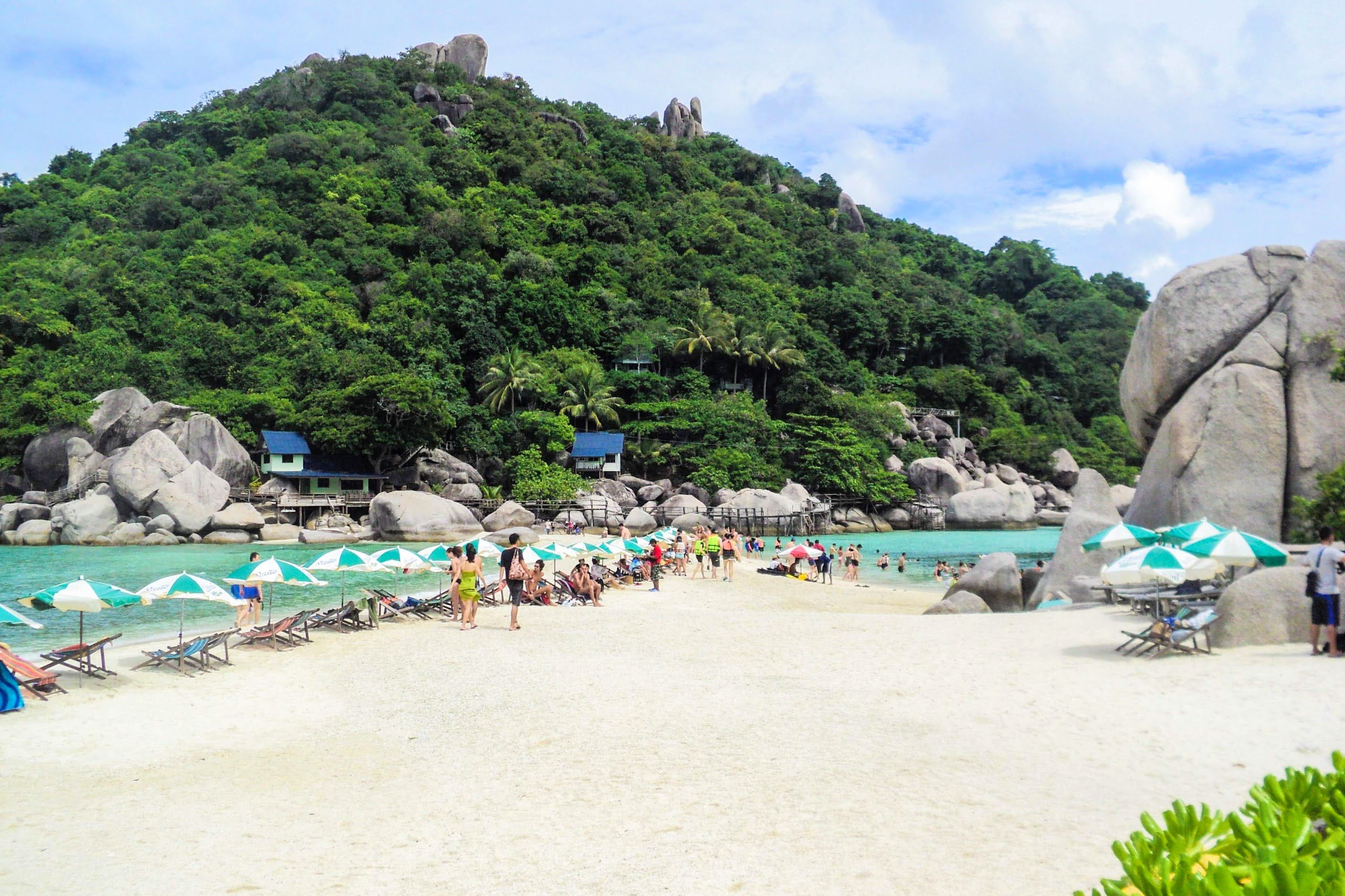 從帕岸島出發的濤島和南園島高級浮潛之旅