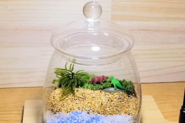 Container plan with knob lid + one drink included - Moss interior ma