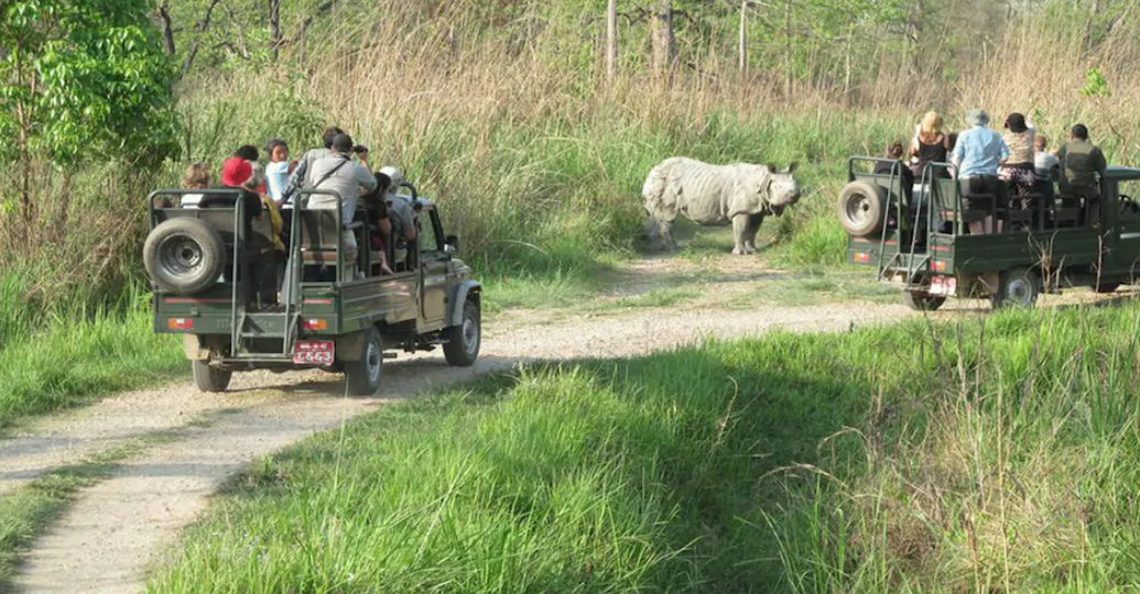 2N3D Chitwan National Park Jungle Safari Tour- All Inclusive Package