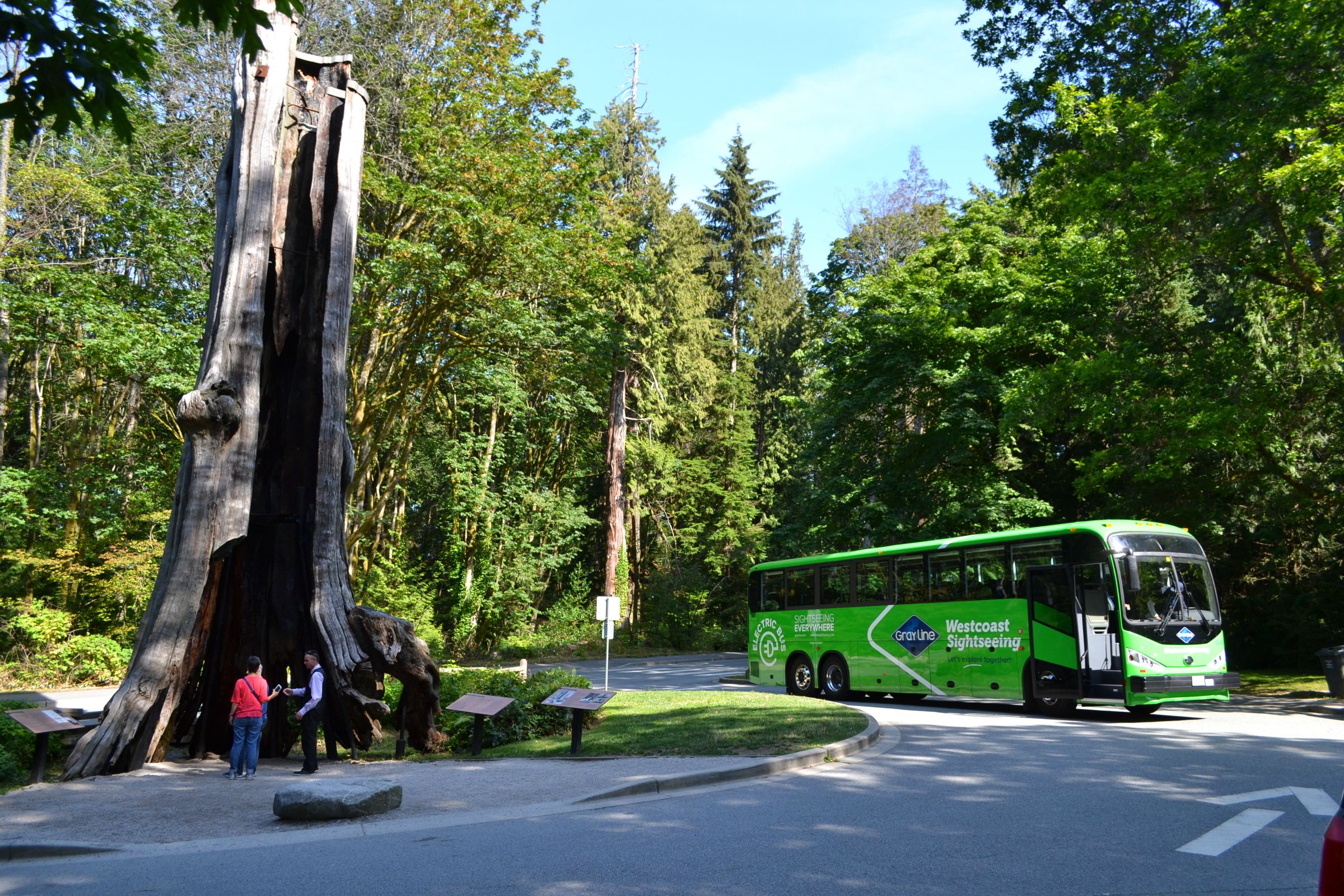 Vancouver City and Capilano Suspension Bridge Park Tour