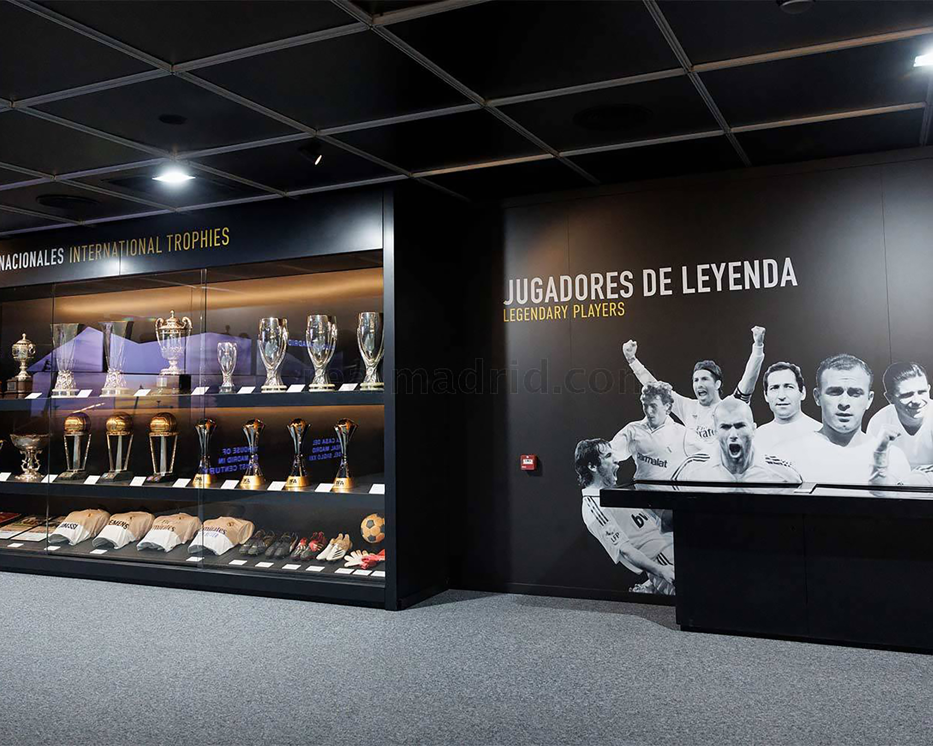 Explore the Legend: Santiago Bernabéu Tour