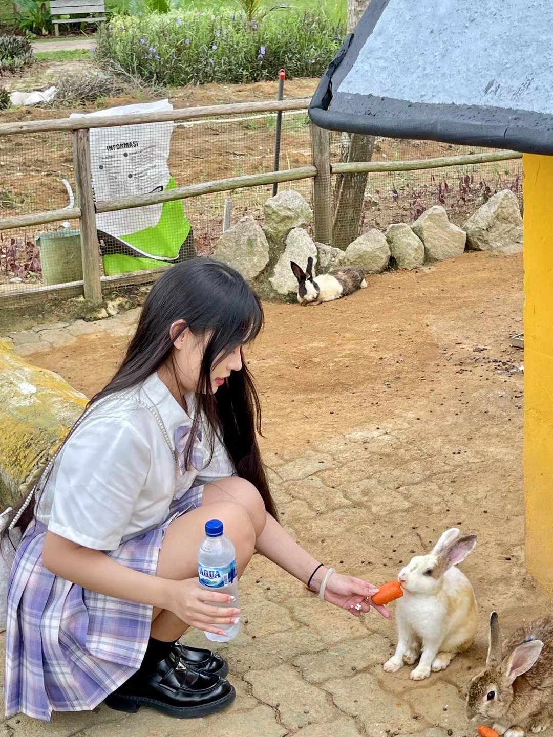 民丹島紅樹林 / 拉戈伊野生動物園 / 沙丘 & 藍湖 / 浮潛一日遊