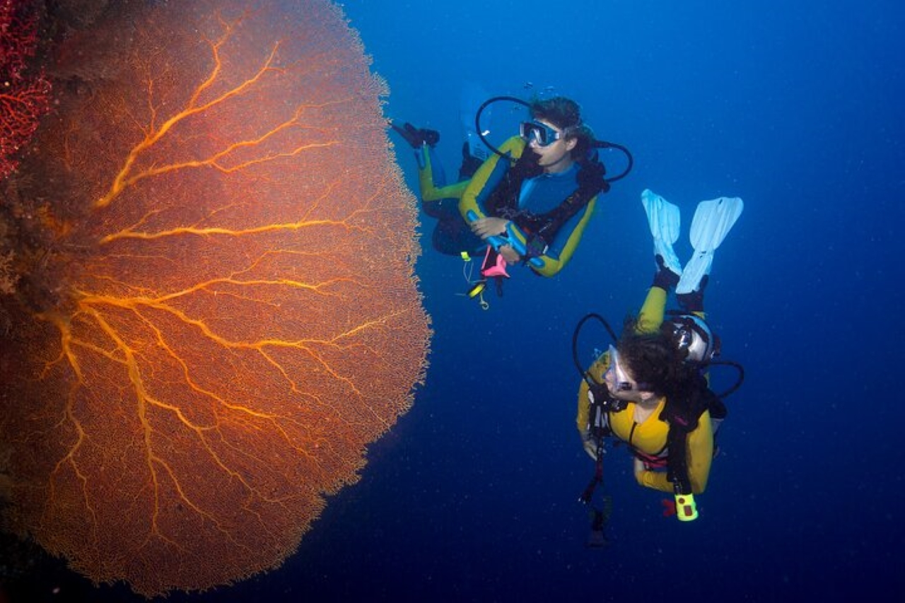 PADI Scuba Diving Course Open Water in 3 Days - Hurghada