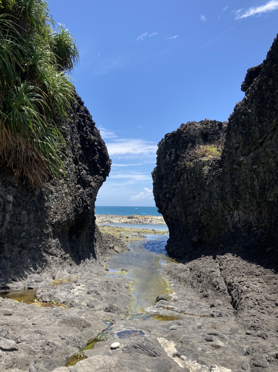 台東: 牛山呼庭, March洞及大石鼻山海線一日遊
