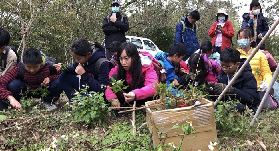 桃園大溪｜溪洲環教園區｜沉澱池導覽與手作