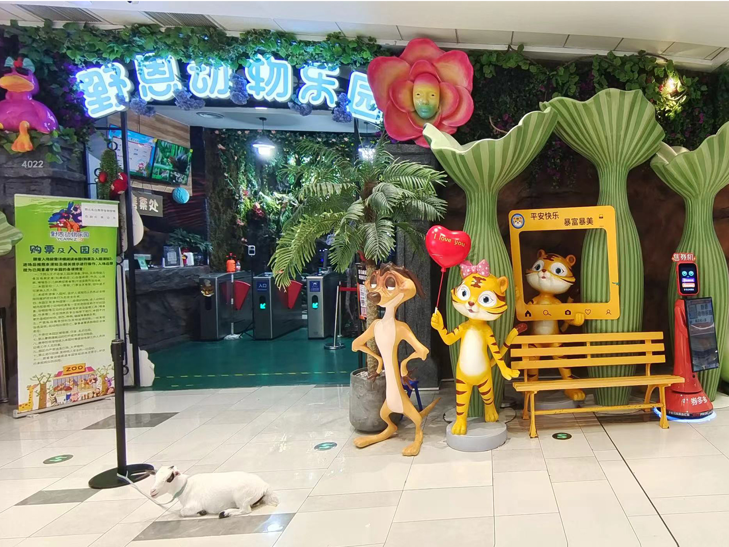 深圳野恩動物樂園（龍崗萬達廣場店）能摸、能抱、投餵互動、零距離接觸萌寵
