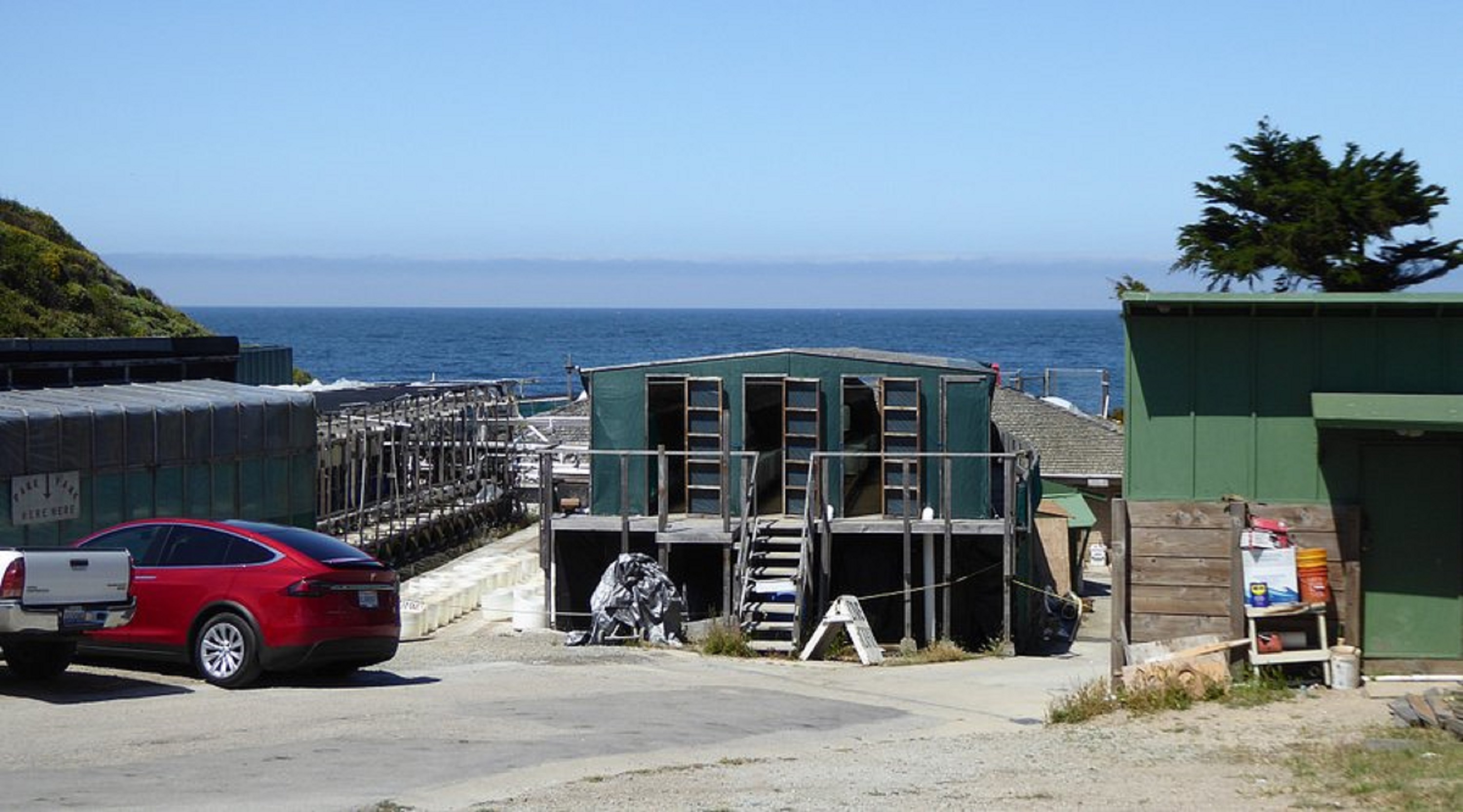 Redwood Forest Steam Train and Santa Cruz Harbor Day Tour
