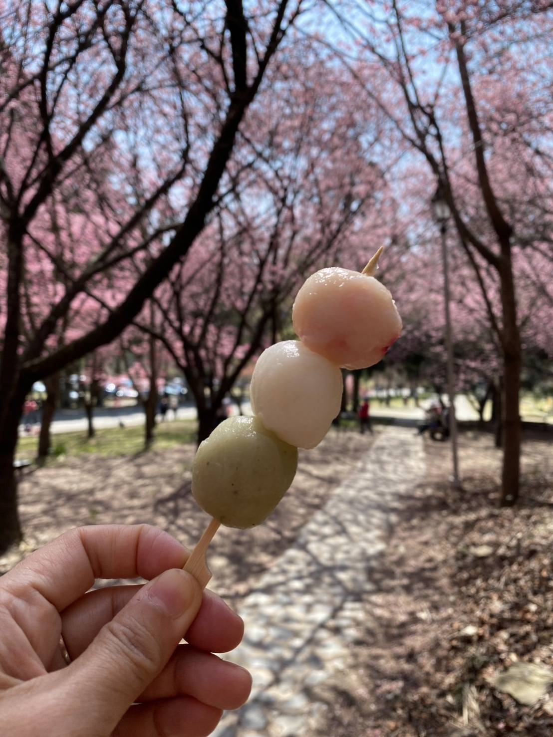 武陵農場一日遊(台中市區飯店接送)