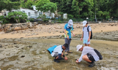 Lamma Island Estuary Ecotour & Upcycling Shell Art Workshop