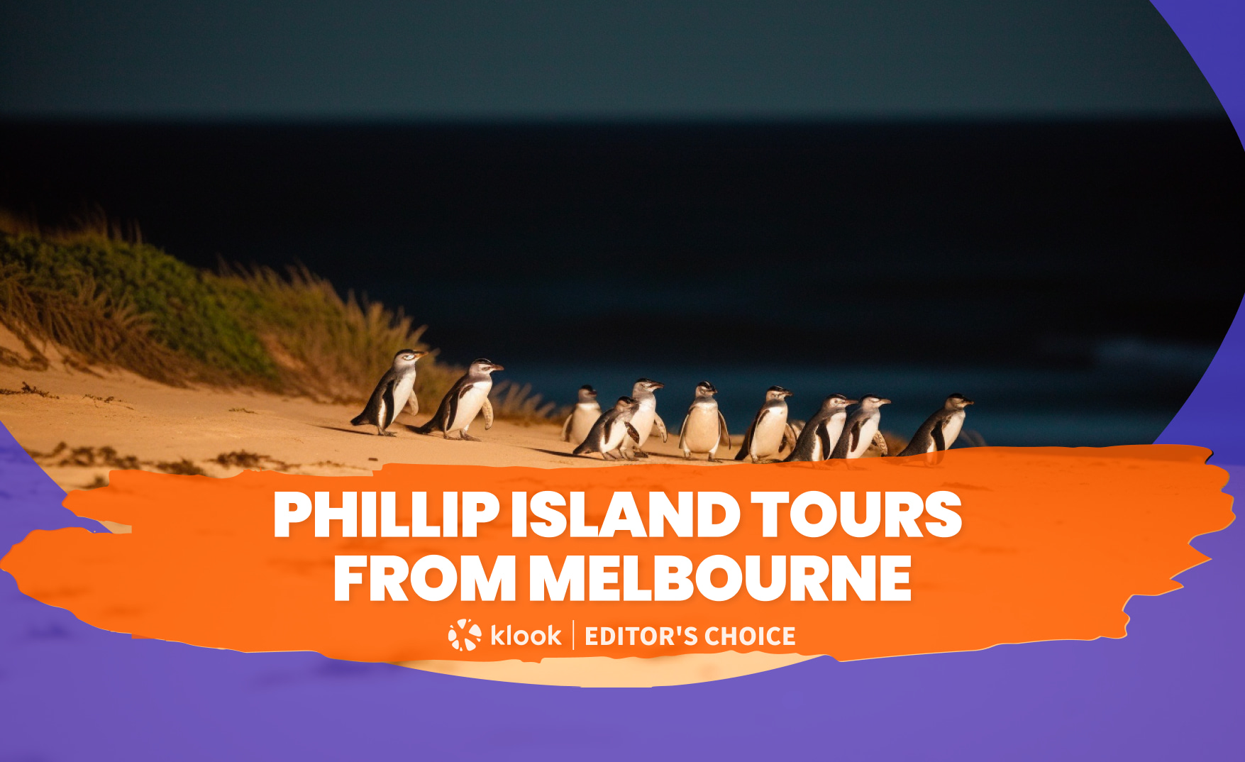 Phillip Island Tours from Melbourne